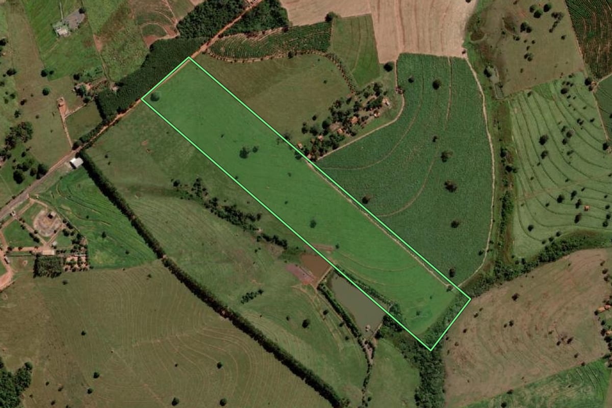 Imagem de satélite do imóvel rural em Palmeira d'Oeste (SP), com o contorno declarado no CAR desenhado por cima.