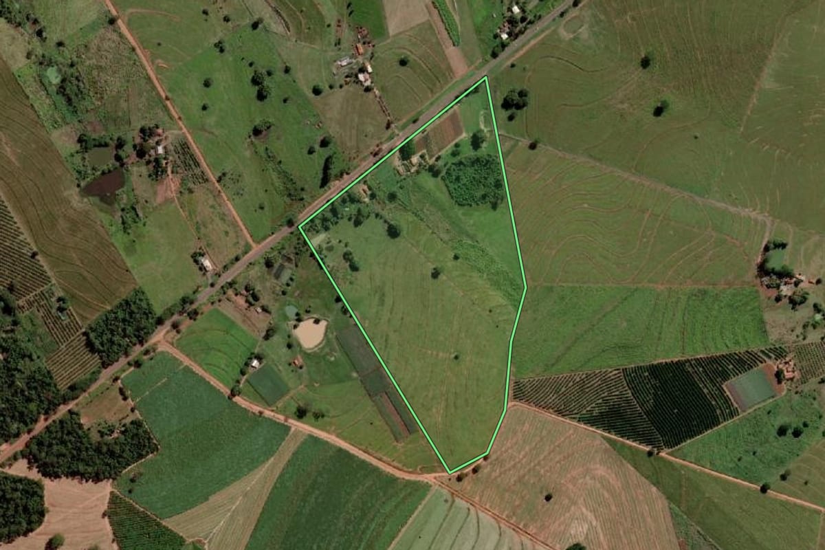 Imagem de satélite do imóvel rural em Palmeira d'Oeste (SP), com o contorno declarado no CAR desenhado por cima.