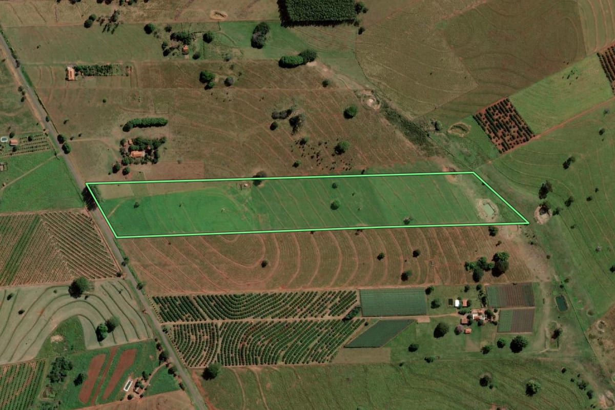 Imagem de satélite do imóvel rural em Palmeira d'Oeste (SP), com o contorno declarado no CAR desenhado por cima.