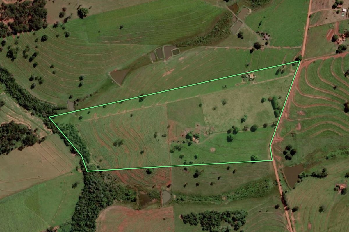 Imagem de satélite do imóvel rural em Palmeira d'Oeste (SP), com o contorno declarado no CAR desenhado por cima.