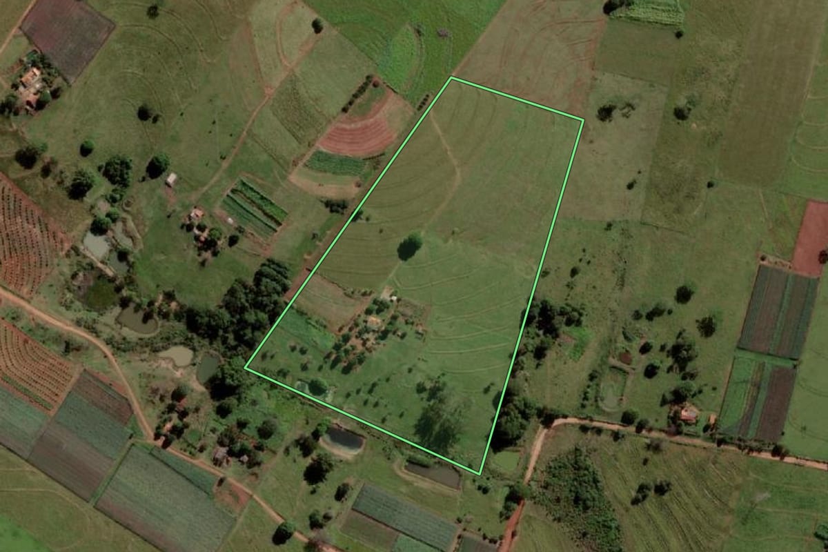 Imagem de satélite do imóvel rural em Palmeira d'Oeste (SP), com o contorno declarado no CAR desenhado por cima.