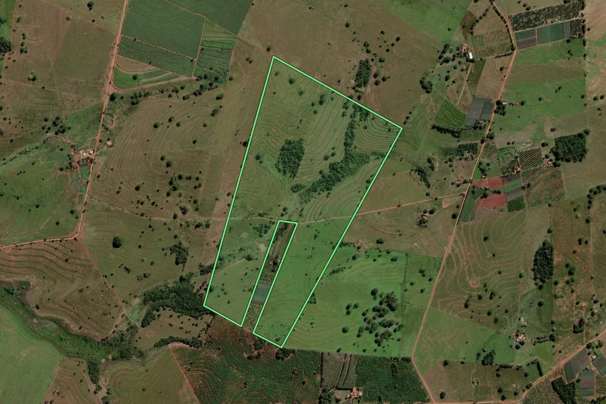Imagem de satélite do imóvel rural em Palmeira d'Oeste (SP), com o contorno declarado no CAR desenhado por cima.