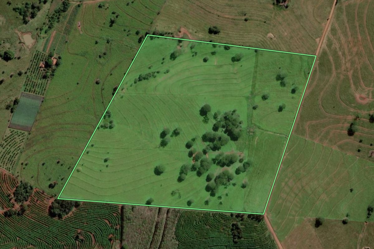 Imagem de satélite do imóvel rural em Palmeira d'Oeste (SP), com o contorno declarado no CAR desenhado por cima.
