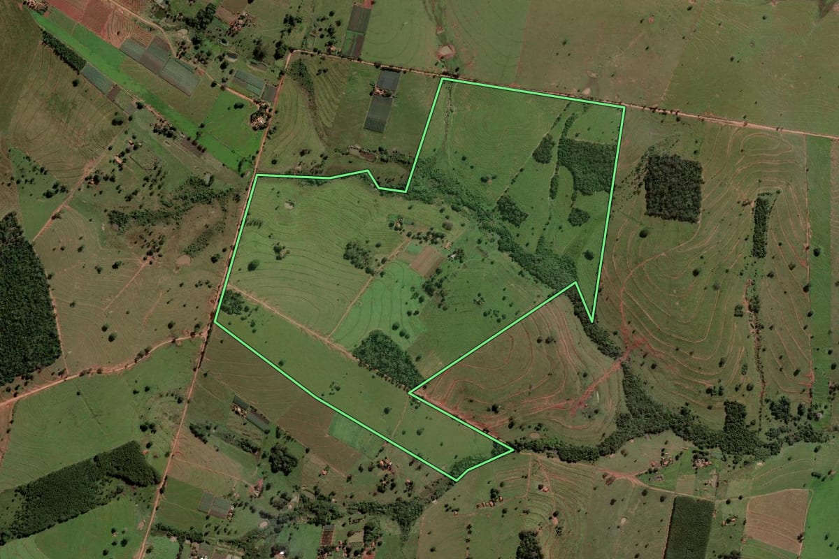 Imagem de satélite do imóvel rural em Palmeira d'Oeste (SP), com o contorno declarado no CAR desenhado por cima.