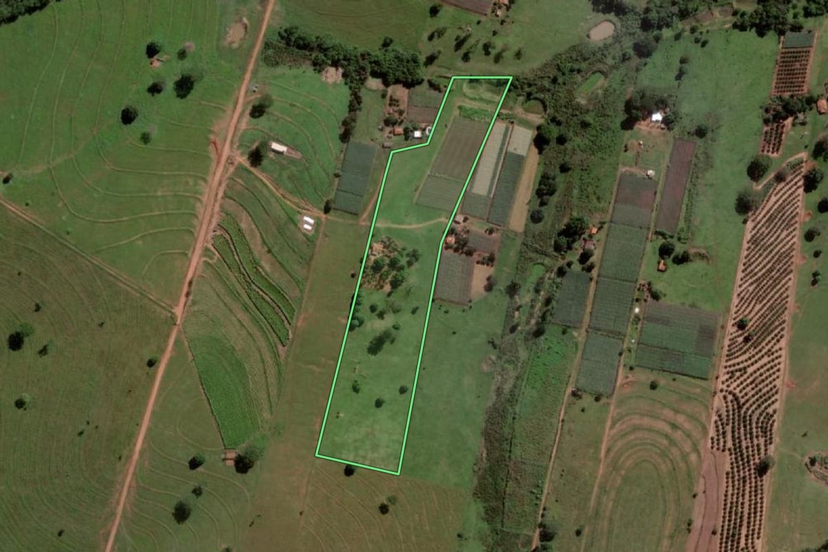 Imagem de satélite do imóvel rural em Palmeira d'Oeste (SP), com o contorno declarado no CAR desenhado por cima.