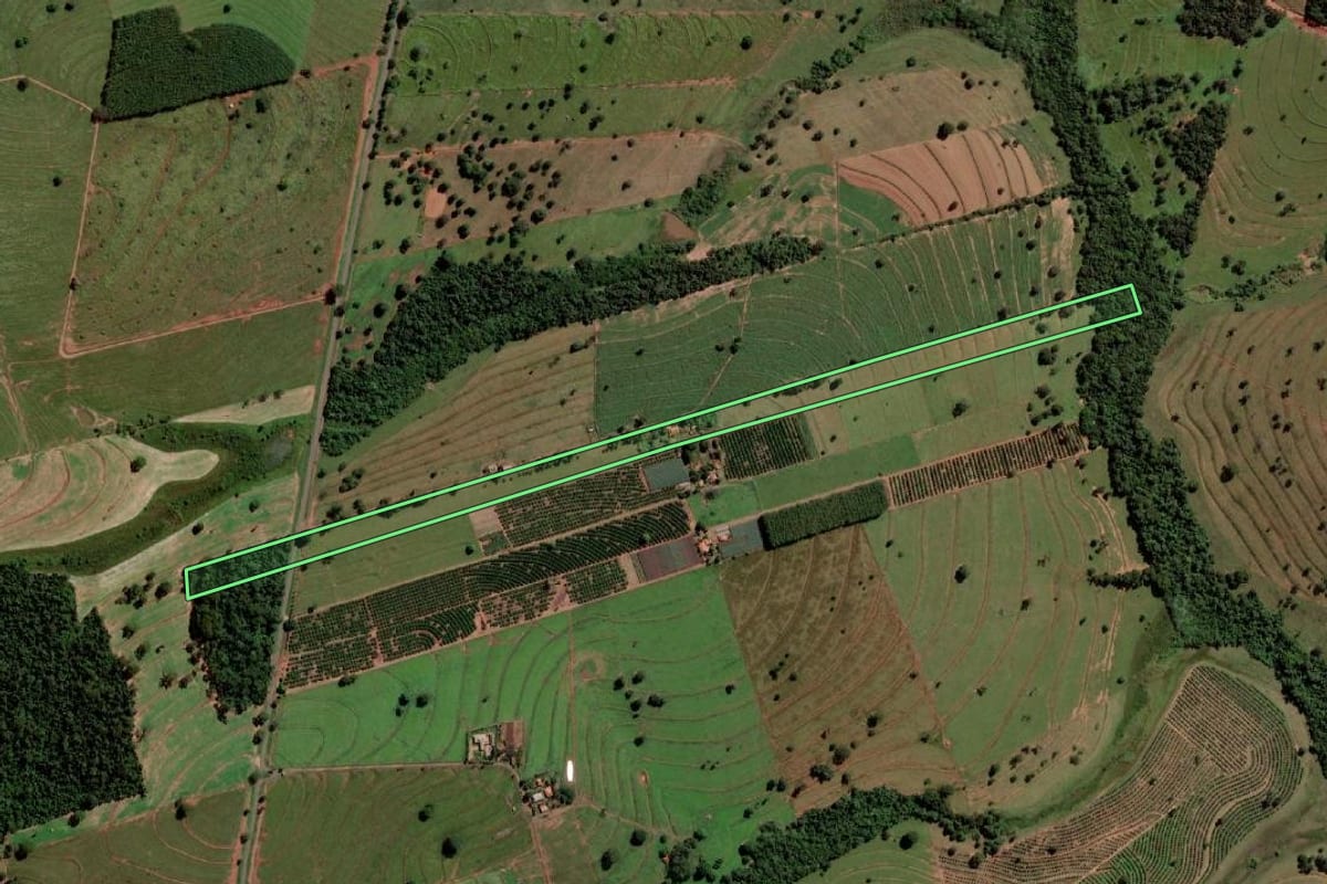 Imagem de satélite do imóvel rural em Palmeira d'Oeste (SP), com o contorno declarado no CAR desenhado por cima.