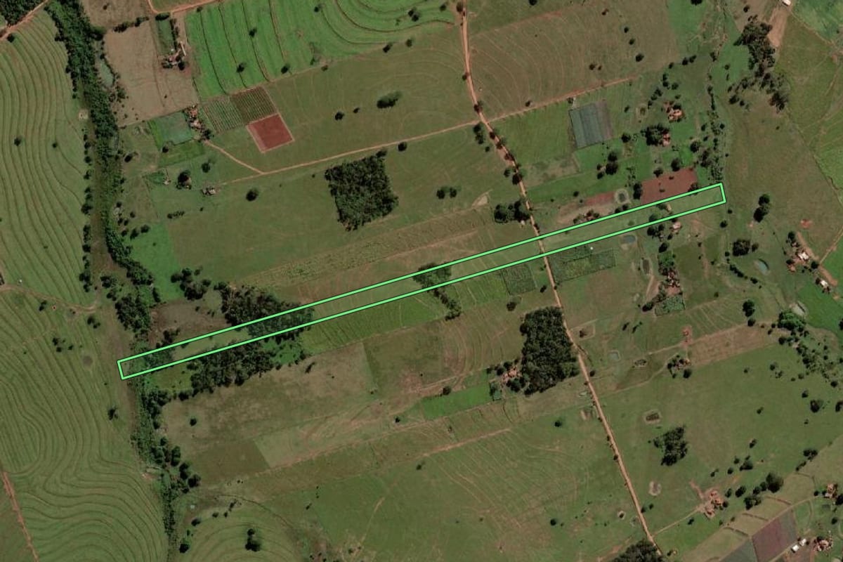 Imagem de satélite do imóvel rural em Palmeira d'Oeste (SP), com o contorno declarado no CAR desenhado por cima.