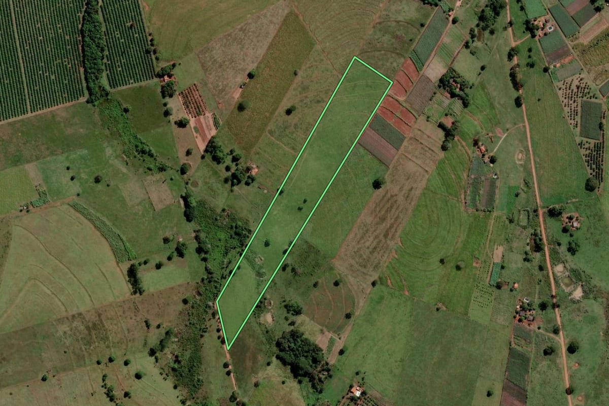 Imagem de satélite do imóvel rural em Palmeira d'Oeste (SP), com o contorno declarado no CAR desenhado por cima.