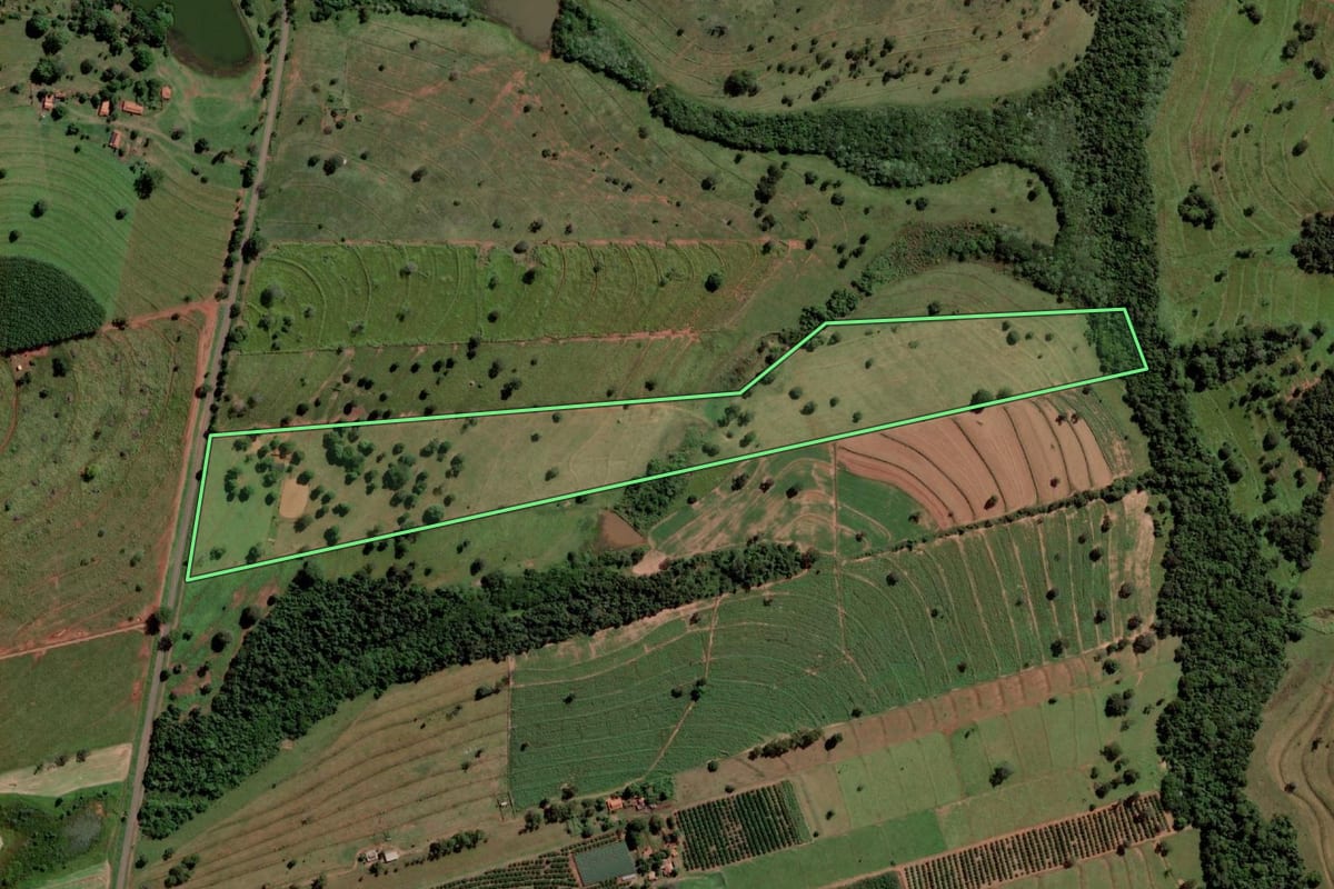 Imagem de satélite do imóvel rural em Palmeira d'Oeste (SP), com o contorno declarado no CAR desenhado por cima.