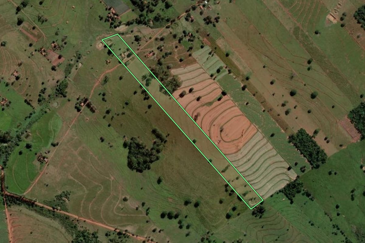 Imagem de satélite do imóvel rural em Palmeira d'Oeste (SP), com o contorno declarado no CAR desenhado por cima.