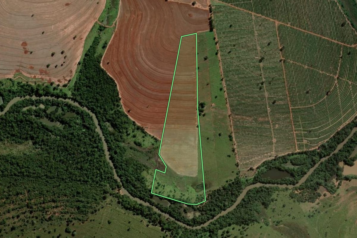 Imagem de satélite do imóvel rural em Palmeira d'Oeste (SP), com o contorno declarado no CAR desenhado por cima.