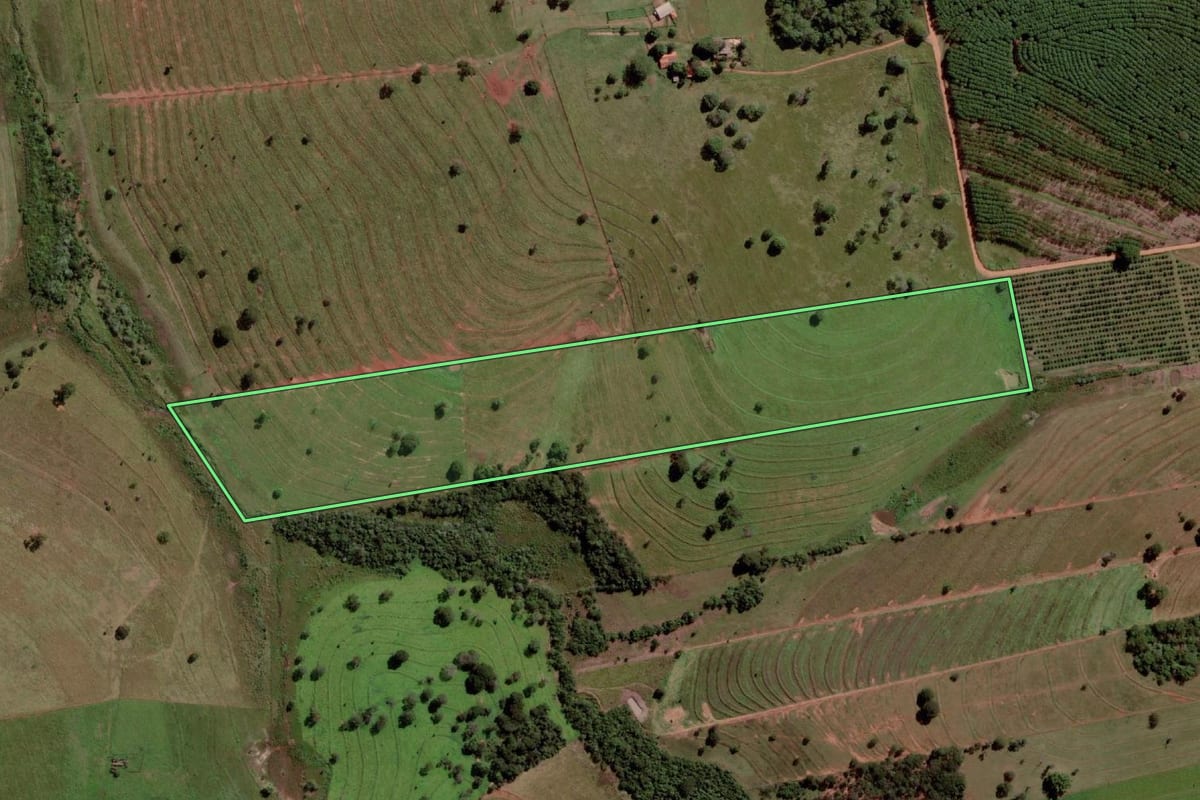 Imagem de satélite do imóvel rural em Palmeira d'Oeste (SP), com o contorno declarado no CAR desenhado por cima.