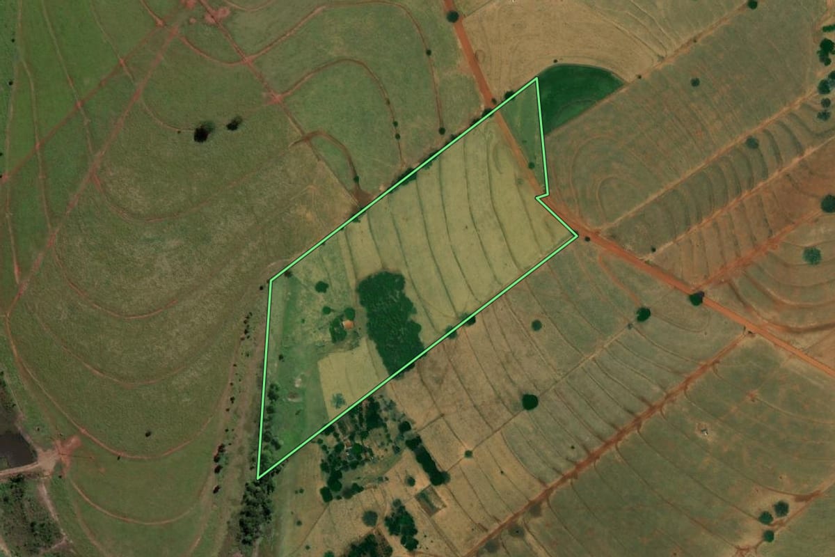 Imagem de satélite do imóvel rural em Palmeira d'Oeste (SP), com o contorno declarado no CAR desenhado por cima.