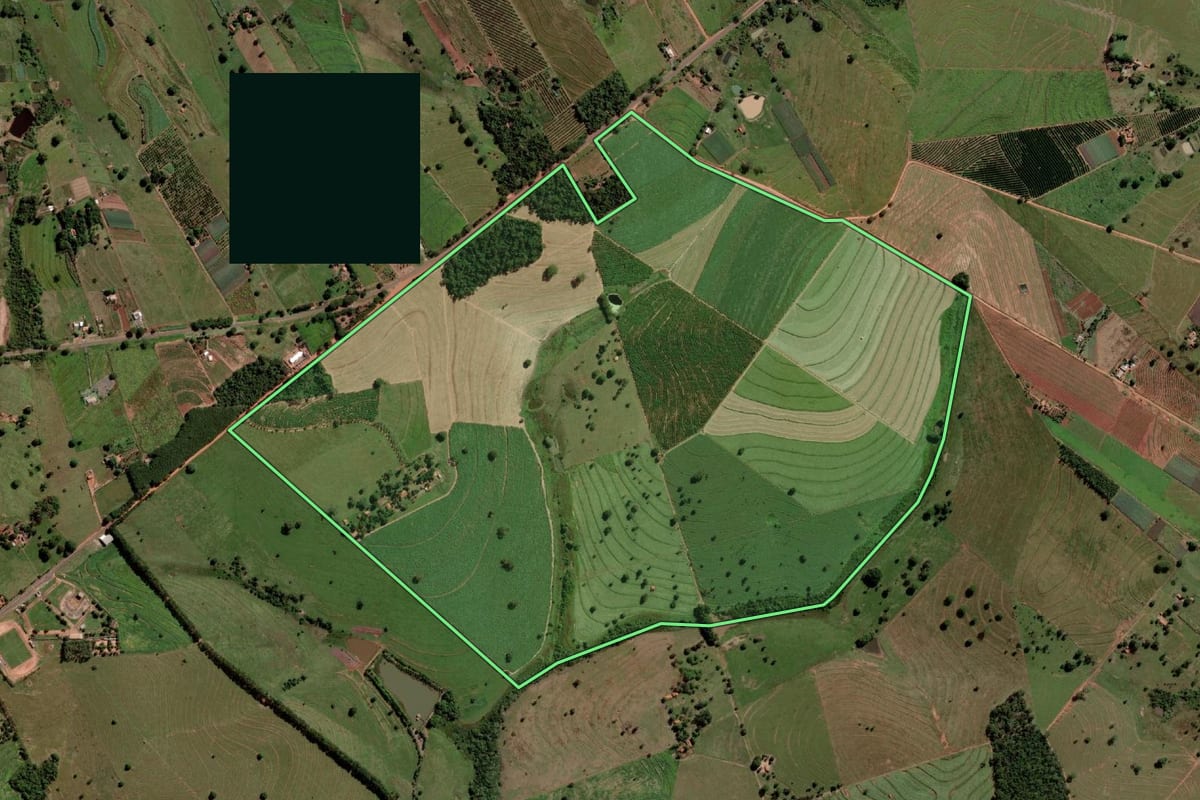 Imagem de satélite do imóvel rural em Palmeira d'Oeste (SP), com o contorno declarado no CAR desenhado por cima.