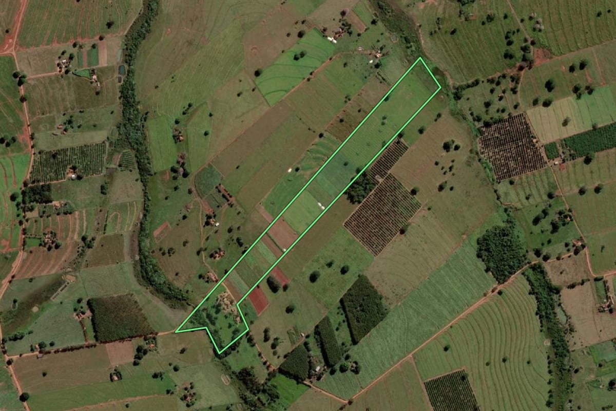 Imagem de satélite do imóvel rural em Palmeira d'Oeste (SP), com o contorno declarado no CAR desenhado por cima.
