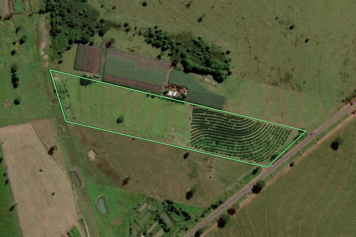 Imagem de satélite do imóvel rural em Palmeira d'Oeste (SP), com o contorno declarado no CAR desenhado por cima.