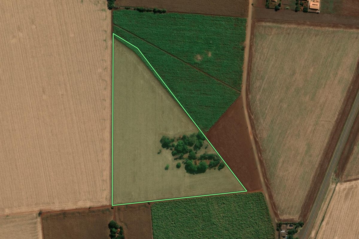 Imagem de satélite do imóvel rural em Palmital (SP), com o contorno declarado no CAR desenhado por cima.