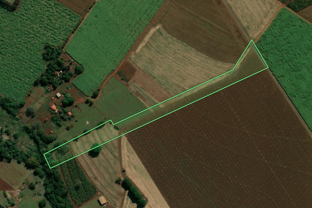 Imagem de satélite do imóvel rural em Palmital (SP), com o contorno declarado no CAR desenhado por cima.