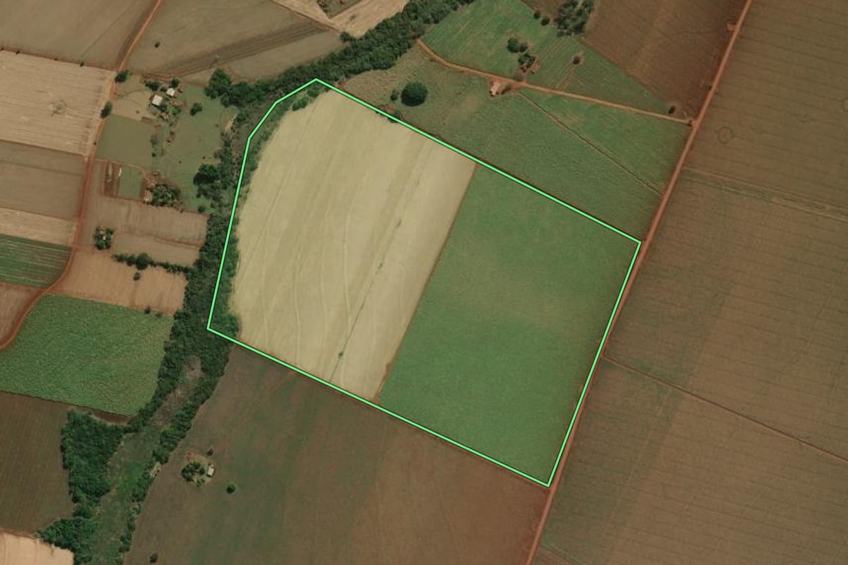Imagem de satélite do imóvel rural em Palmital (SP), com o contorno declarado no CAR desenhado por cima.