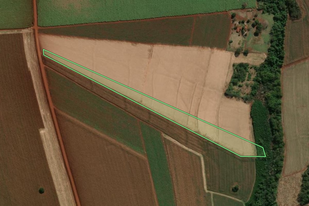 Imagem de satélite do imóvel rural em Palmital (SP), com o contorno declarado no CAR desenhado por cima.