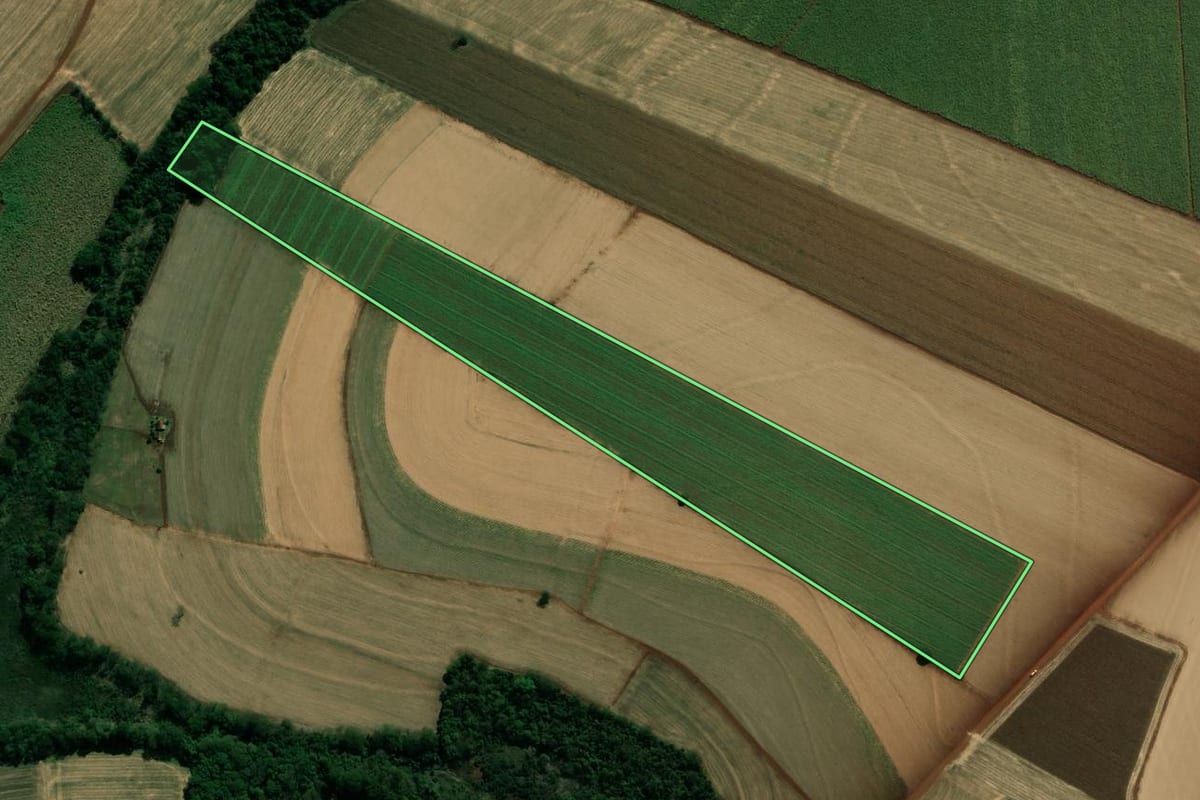 Imagem de satélite do imóvel rural em Palmital (SP), com o contorno declarado no CAR desenhado por cima.