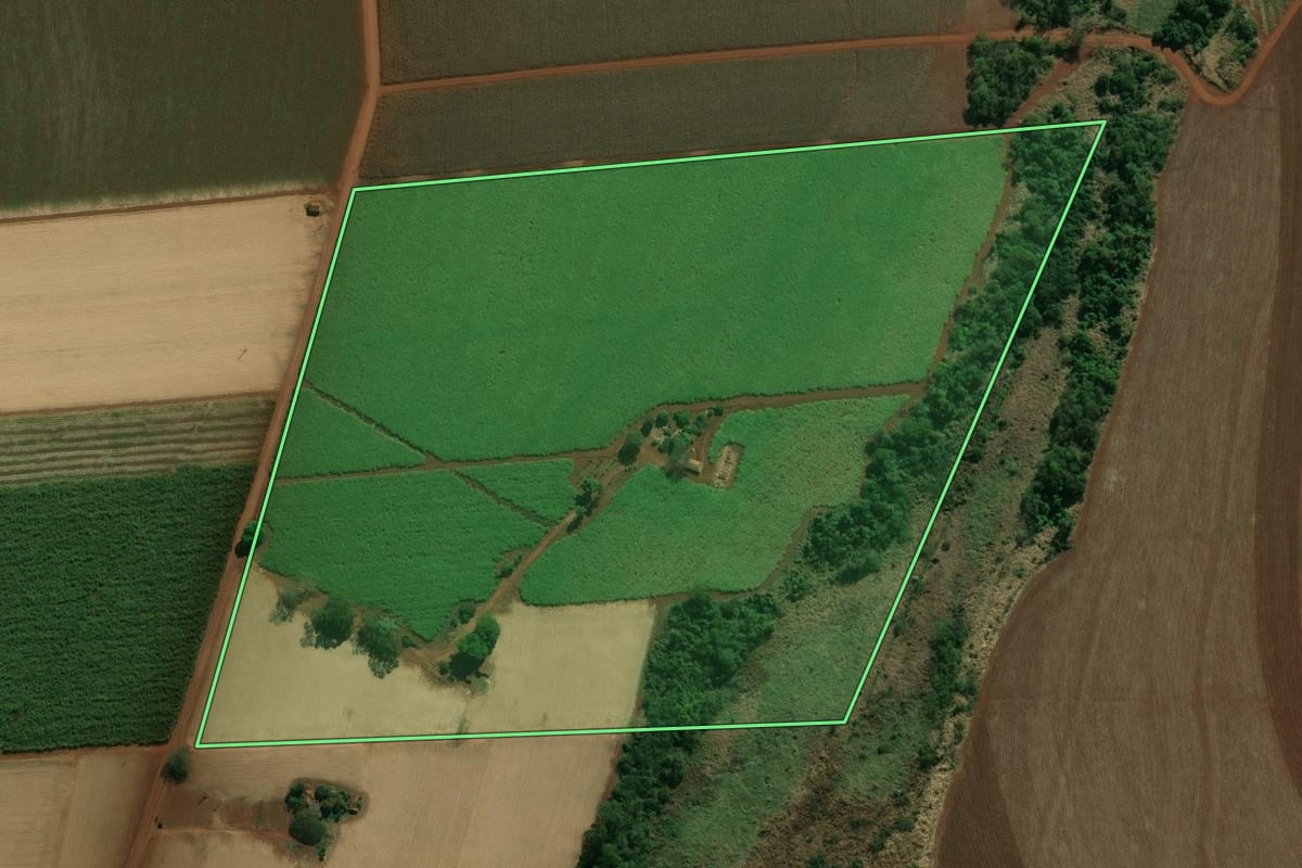 Imagem de satélite do imóvel rural em Palmital (SP), com o contorno declarado no CAR desenhado por cima.