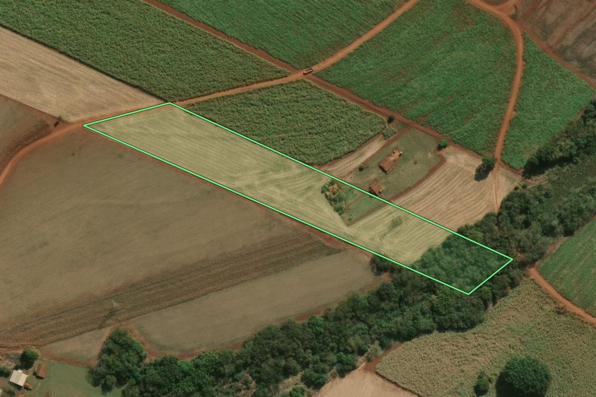 Imagem de satélite do imóvel rural em Palmital (SP), com o contorno declarado no CAR desenhado por cima.