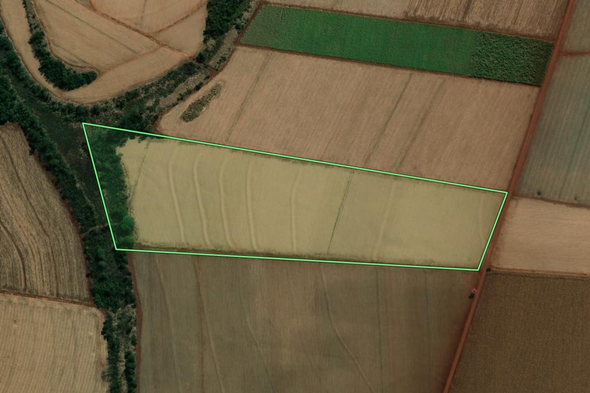 Imagem de satélite do imóvel rural em Palmital (SP), com o contorno declarado no CAR desenhado por cima.