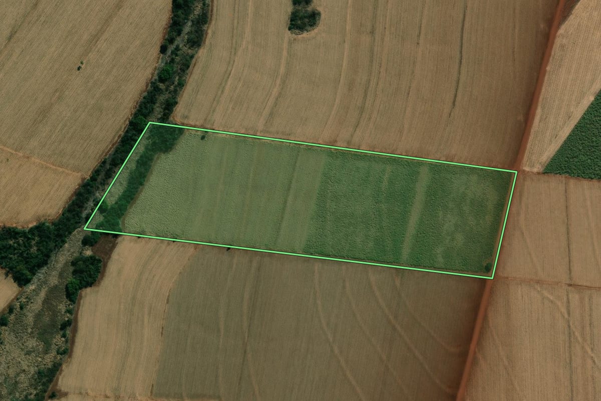 Imagem de satélite do imóvel rural em Palmital (SP), com o contorno declarado no CAR desenhado por cima.