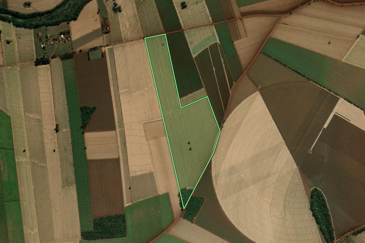 Imagem de satélite do imóvel rural em Palmital (SP), com o contorno declarado no CAR desenhado por cima.