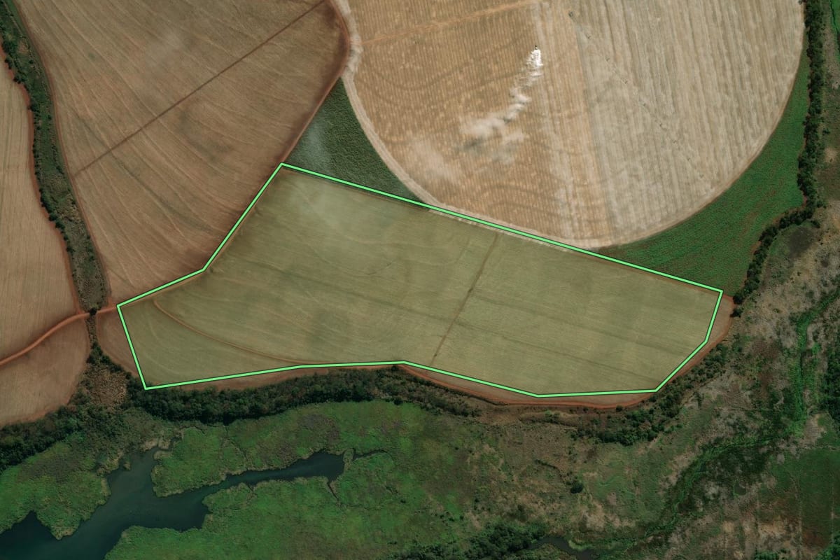 Imagem de satélite do imóvel rural em Palmital (SP), com o contorno declarado no CAR desenhado por cima.