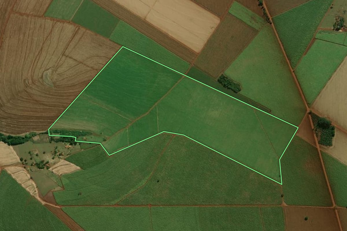 Imagem de satélite do imóvel rural em Palmital (SP), com o contorno declarado no CAR desenhado por cima.