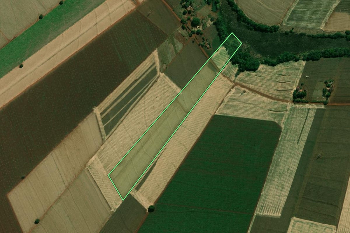 Imagem de satélite do imóvel rural em Palmital (SP), com o contorno declarado no CAR desenhado por cima.