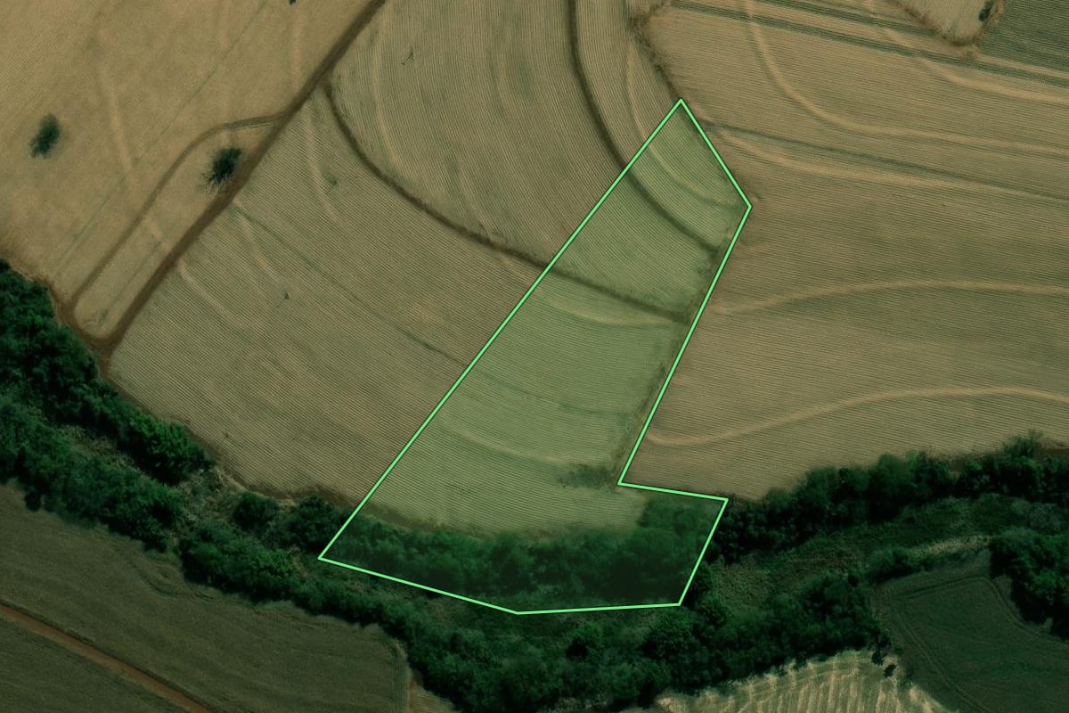 Imagem de satélite do imóvel rural em Palmital (SP), com o contorno declarado no CAR desenhado por cima.