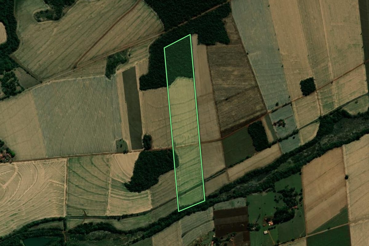 Imagem de satélite do imóvel rural em Palmital (SP), com o contorno declarado no CAR desenhado por cima.