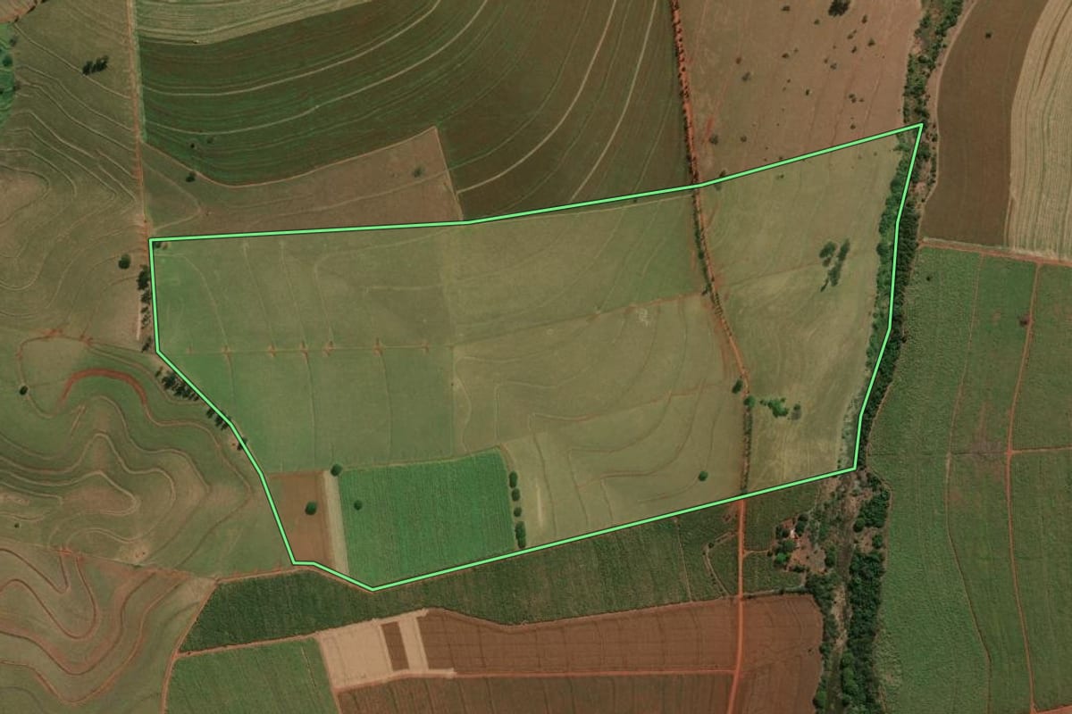 Imagem de satélite do imóvel rural em Palmital (SP), com o contorno declarado no CAR desenhado por cima.