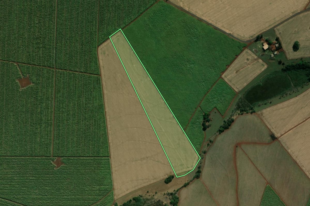 Imagem de satélite do imóvel rural em Palmital (SP), com o contorno declarado no CAR desenhado por cima.