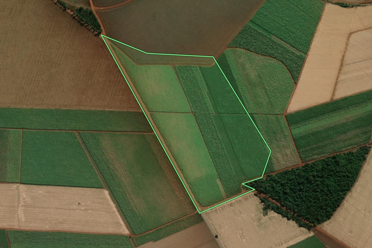 Imagem de satélite do imóvel rural em Palmital (SP), com o contorno declarado no CAR desenhado por cima.