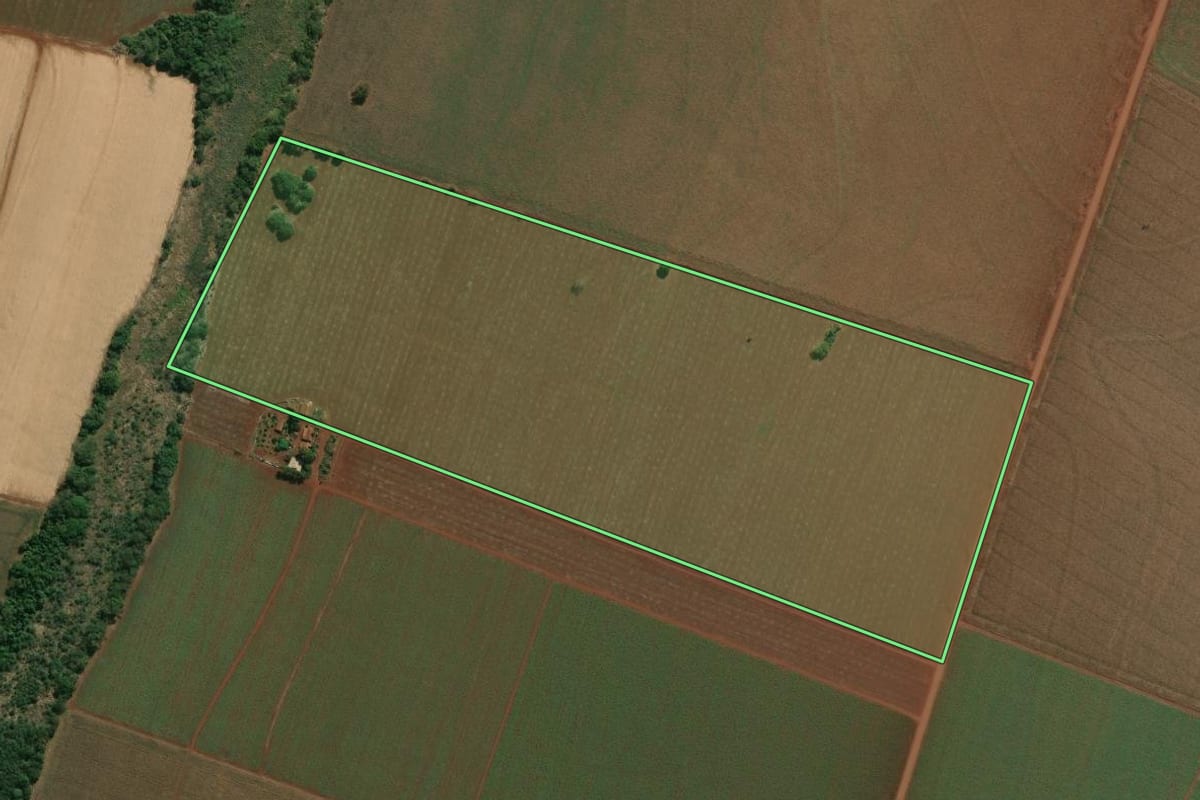 Imagem de satélite do imóvel rural em Palmital (SP), com o contorno declarado no CAR desenhado por cima.