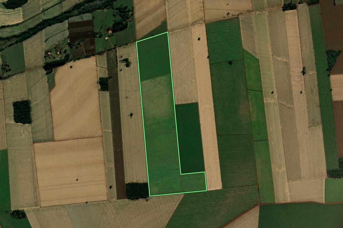 Imagem de satélite do imóvel rural em Palmital (SP), com o contorno declarado no CAR desenhado por cima.
