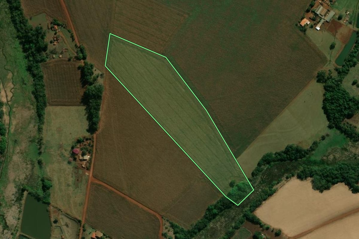 Imagem de satélite do imóvel rural em Palmital (SP), com o contorno declarado no CAR desenhado por cima.