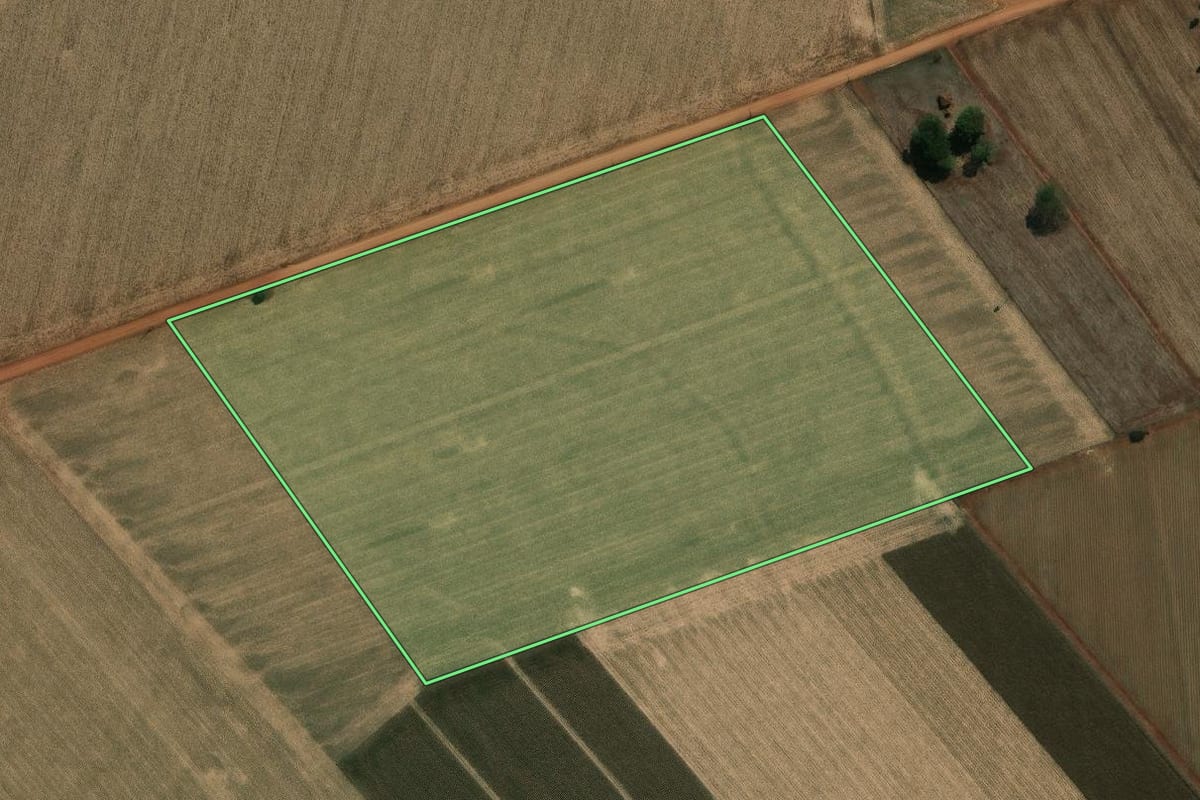 Imagem de satélite do imóvel rural em Palmital (SP), com o contorno declarado no CAR desenhado por cima.