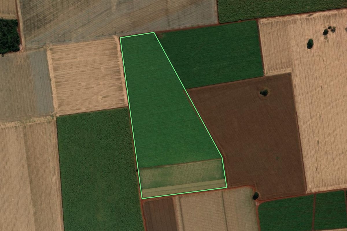 Imagem de satélite do imóvel rural em Palmital (SP), com o contorno declarado no CAR desenhado por cima.