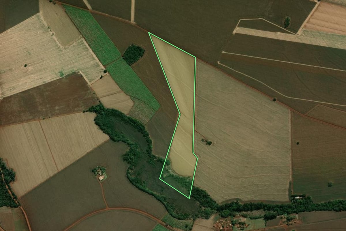 Imagem de satélite do imóvel rural em Palmital (SP), com o contorno declarado no CAR desenhado por cima.
