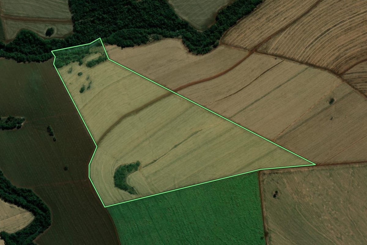 Imagem de satélite do imóvel rural em Palmital (SP), com o contorno declarado no CAR desenhado por cima.