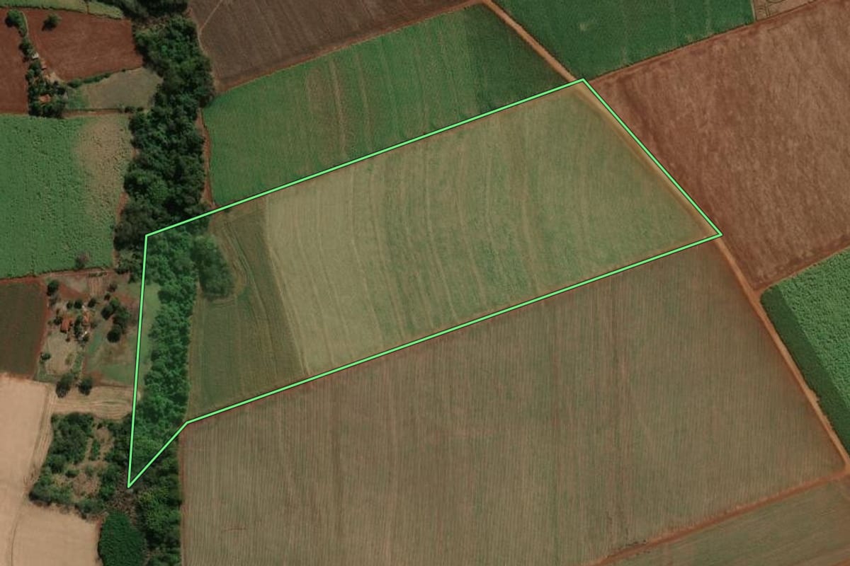 Imagem de satélite do imóvel rural em Palmital (SP), com o contorno declarado no CAR desenhado por cima.