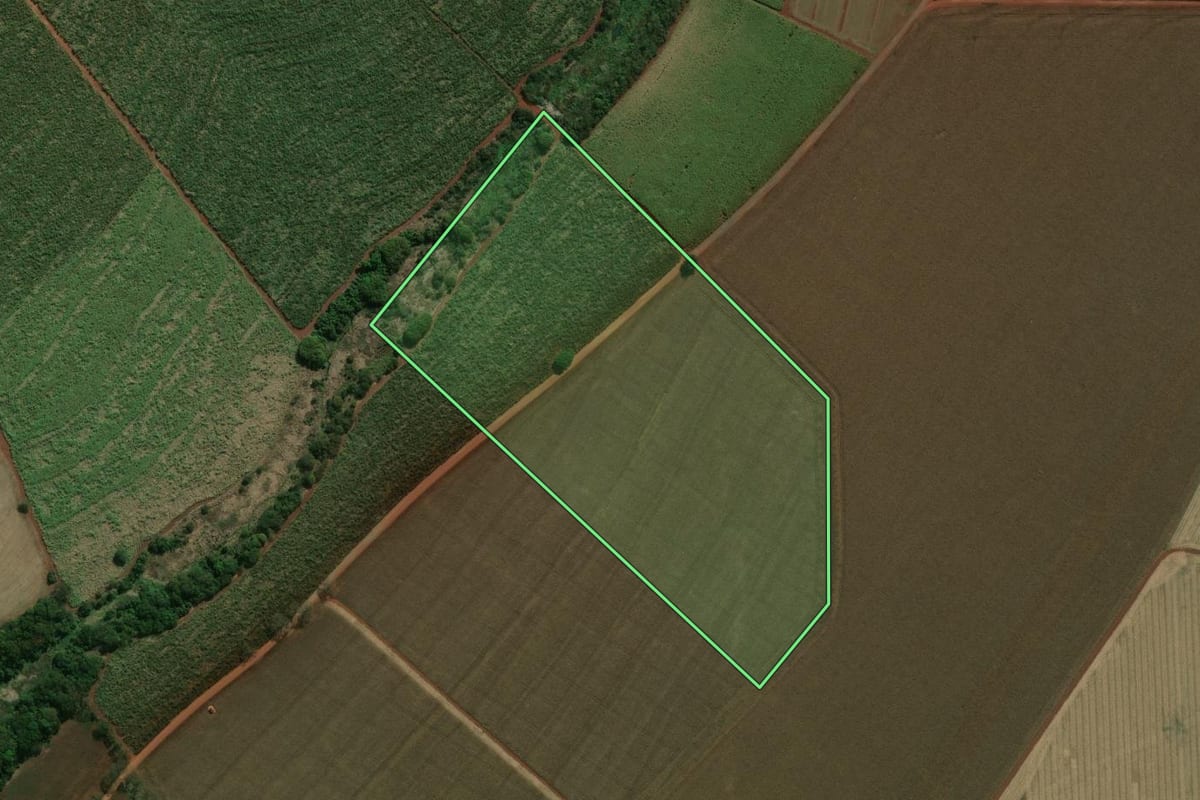 Imagem de satélite do imóvel rural em Palmital (SP), com o contorno declarado no CAR desenhado por cima.