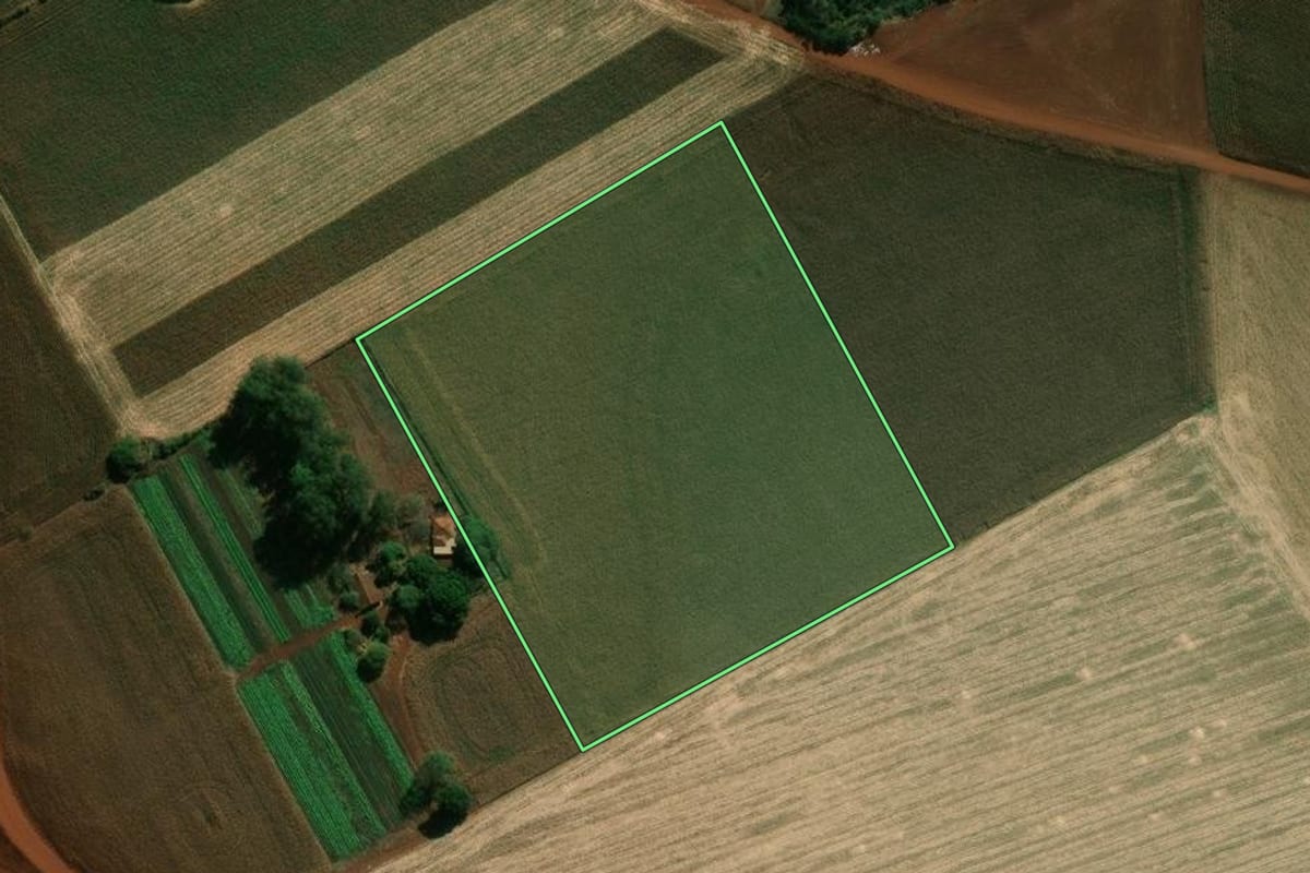 Imagem de satélite do imóvel rural em Palmital (SP), com o contorno declarado no CAR desenhado por cima.