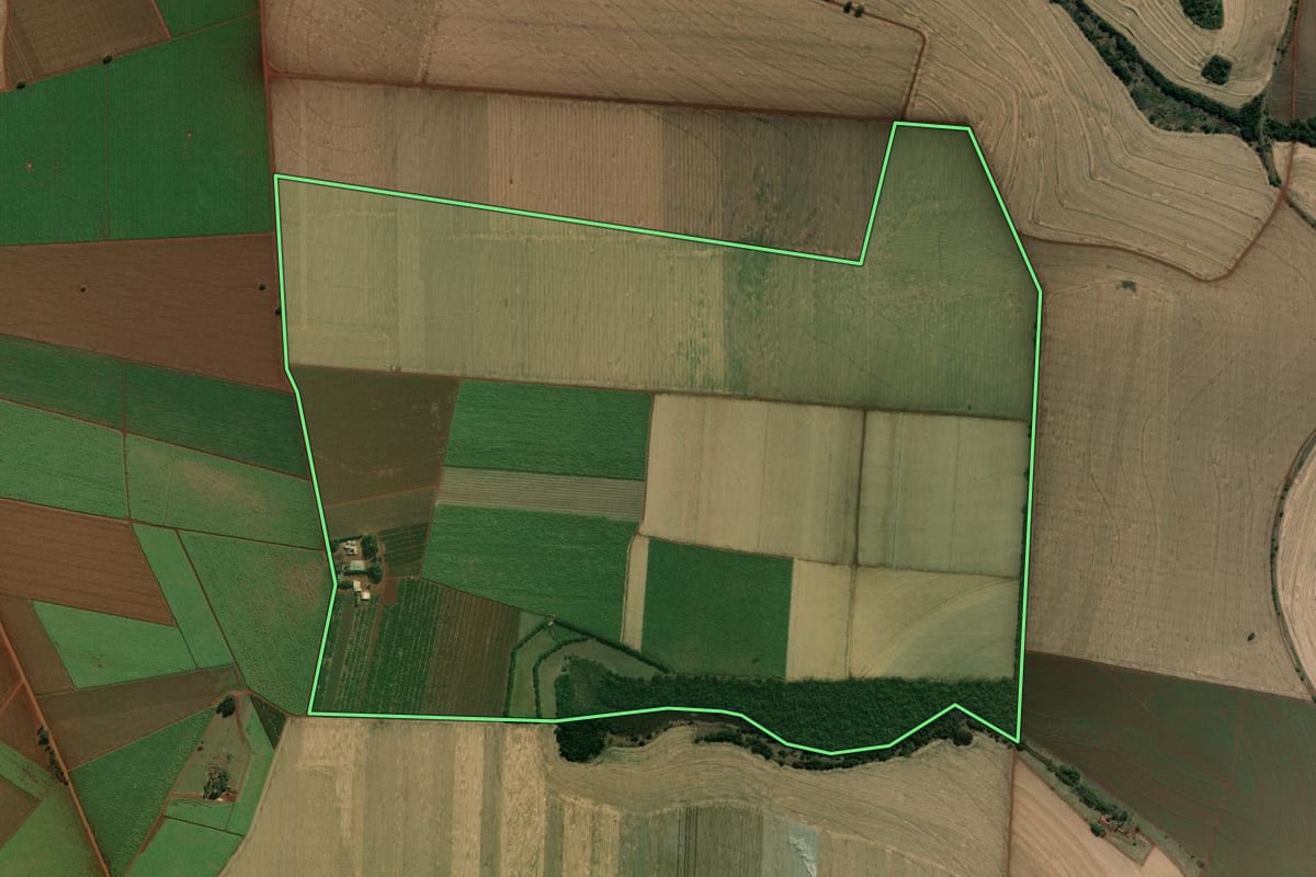 Imagem de satélite do imóvel rural em Palmital (SP), com o contorno declarado no CAR desenhado por cima.