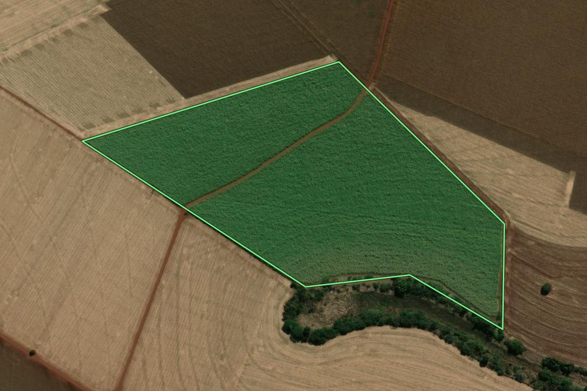Imagem de satélite do imóvel rural em Palmital (SP), com o contorno declarado no CAR desenhado por cima.